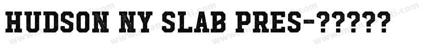 Hudson NY Slab Pres字体转换